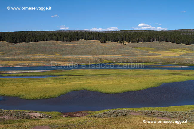 260 Yellowstone river IMG 0354